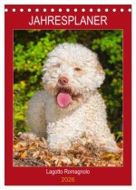 Jahresplaner Lagotto Romagnolo (Tischkalender 2026 DIN A5 hoch), CALVENDO Monatskalender