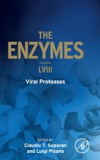 Viral Proteases