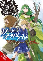 IS IT WRONG TO TRY SWORD ORATORIA V14 LN