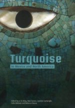 Turquoise in Mexico and North America: Science, Conservation, Culture and Collections