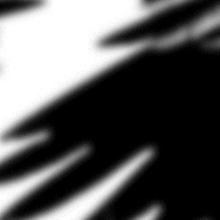 Ravens