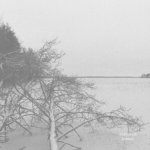 Kalmonsäie