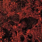 Murder of the Universe