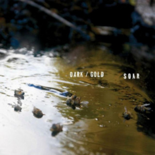 Dark/Gold
