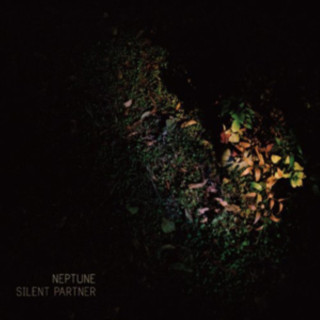 Silent Partner