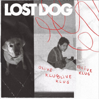 Lost Dog