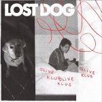 Lost Dog