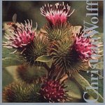 Burdocks