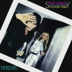 HARLEY, STEVE & COCKNEY REBEL  THE BEST YEARS OF OUR LIVES (45TH ANNIVERSARY LIMITED EDITION) / 180G