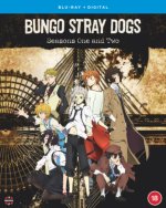 Bungo Stray Dogs: Season 1 & 2