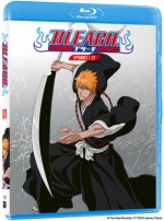 Bleach: Part 1
