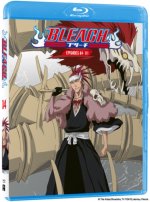 Bleach: Part 4