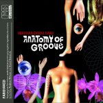 Anatomy of groove