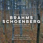 Brahms: Piano Trio No. 1/Schoenberg: Verklärte Nacht