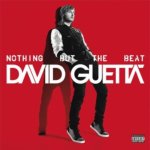 Nothing But the Beat