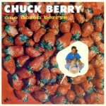 One Dozen Berrys