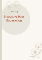 PLANNING POST SEPARATION