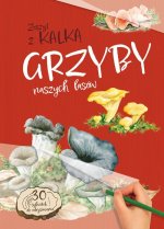 Grzyby naszych lasów. Zeszyt z kalką wyd. 2025