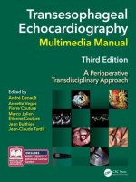 Transesophageal Echocardiography Multimedia Manual