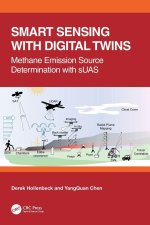 Smart Sensing with Digital Twins