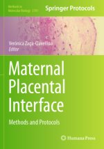 Maternal Placental Interface