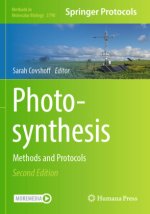 Photosynthesis
