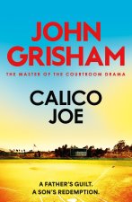 Calico Joe