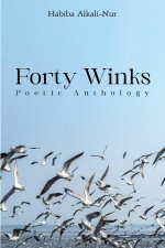 Forty Winks