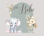 Hola, bebé (baby shower)