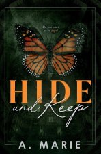 Hide and Keep Discreet Cover