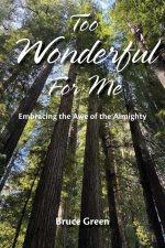 Too Wonderful for Me