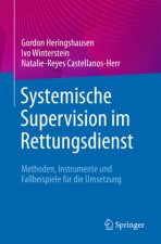 Systemische Supervision im Rettungsdienst