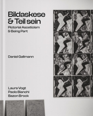 Daniel Gallmann