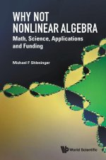 Why Not Nonlinear Algebra: Forty Years Under the Mast at Onr
