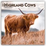 Highland Cows - Hochlandrinder 2026 - 16-Monatskalender