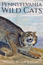 Pennsylvania Wild Cats