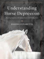UNDERSTANDING HORSE DEPRESSION