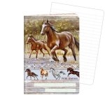 Sešit A6, 40 listů, typ 644 Wild horses
