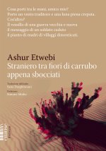 Straniero tra fiori di carrubo appena sbocciati