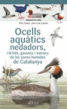 Ocells aquàtics nedadors, ràl·lids, gavines i xatracs de les zones humides de Ca