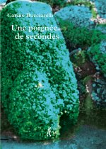 Une poignée de szcondes