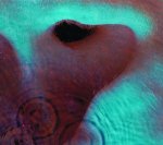 Pink Floyd:  Meddle