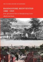 Basingstoke Reinvented