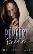 Perfect Enemies
