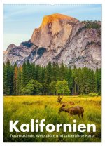 Kalifornien - Traumstrände, Weltstädte und unberührte Natur (Wandkalender 2026 DIN A2 hoch), CALVENDO Monatskalender