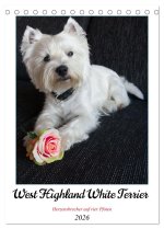 West Highland White Terrier - Herzensbrecher auf vier Pfoten (Tischkalender 2026 DIN A5 hoch), CALVENDO Monatskalender