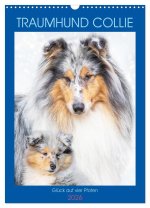 Traumhund Collie - Glück auf vier Pfoten (Wandkalender 2026 DIN A3 hoch), CALVENDO Monatskalender