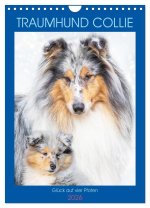Traumhund Collie - Glück auf vier Pfoten (Wandkalender 2026 DIN A4 hoch), CALVENDO Monatskalender