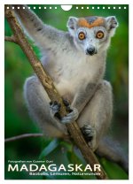 MADAGASKAR: Baobabs, Lemuren, Naturwunder (Wandkalender 2026 DIN A4 hoch), CALVENDO Monatskalender