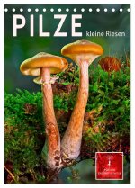 Pilze - kleine Riesen (Tischkalender 2026 DIN A5 hoch), CALVENDO Monatskalender